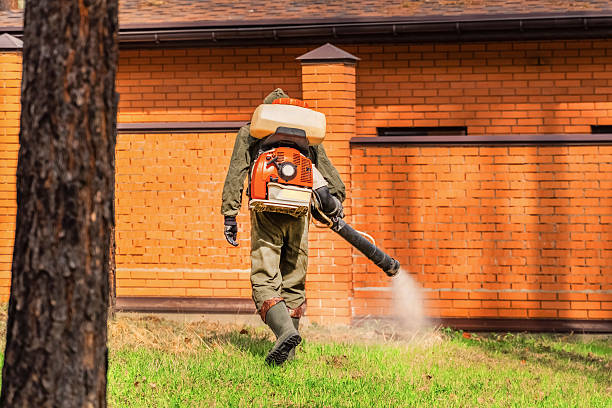 Trusted Termite Control service in Westport, IN - Nex Pest Control